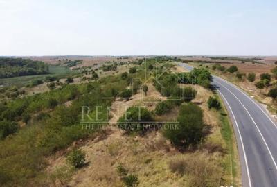 Teren de 2500 mp, în Naipu - 1