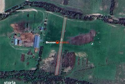 Teren de 23400 mp, în Husasău de Tinca - 5