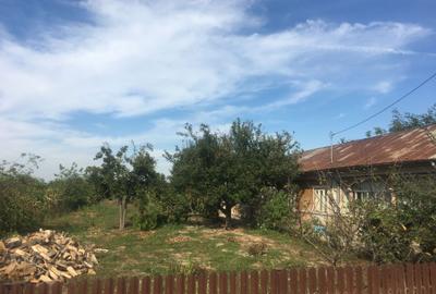 Casă cu 4 camere în Crivăț - 7