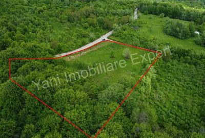 Teren de 8387 mp, în Corbi - 3