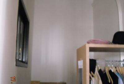 Gradina Icoanei, Dumbrava Rosie 12, garsoniera, casa istorica parter inalt! - 4