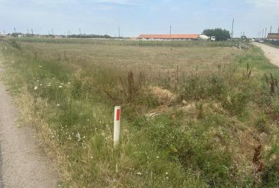 Teren de 2000 mp, în Măldăeni - 4