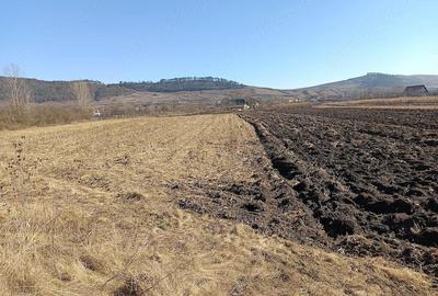 Spațiu comercial, în Central - 1