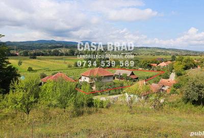 Proprietar vand casa mare cu 1373 mp teren, zona verde, lini?tita, in ora?ul Brad, jud. HD Proprietar vand casa mare cu 1373 mp teren, zona verde, lini?tita, in ora?ul Brad, jud. HD - 2