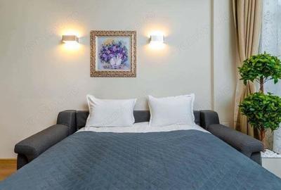 Apartament cu o camera in zona Buziasului - 3