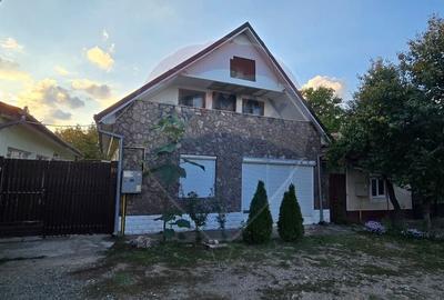 PENSIUNE IN CHISINEU CRIS - 1