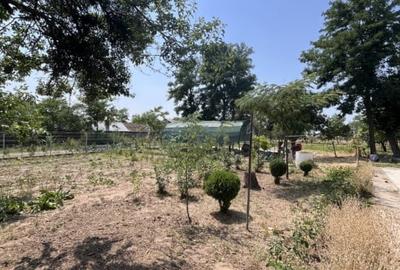 Casa de vacanta - Munteni Buzau - Jutetul Ialomita - Curte 2000mp - 15