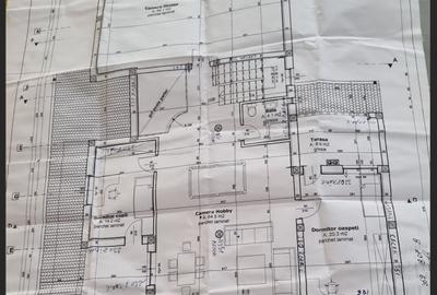 Casa individuala Dumbravita P+ M/ Teren 955 mp cu 2 fronturi - 6