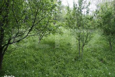 Teren de 884 mp, în Runcu - 1