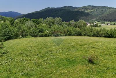 Comision 0% | Teren intravilan cu izvor | 2,730mp | Zarnesti | - 9