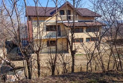 Casă cu 2 camere în Vișan - 6