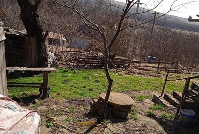 Casă cu Teren 304 Mp în Rediu