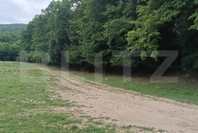 Teren de 5075 mp, în Dej - 1