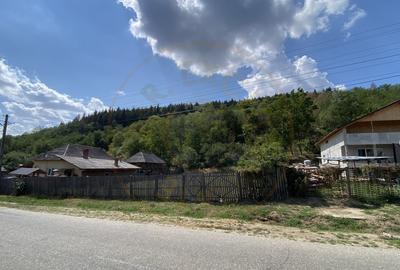 Teren 4000 mp intravilan loc. Aninoasa, jud Arges. Comision 0% - 5