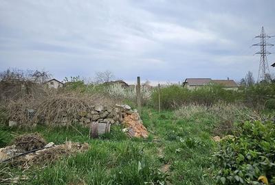 Spațiu comercial, în Biharia - 12