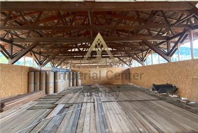 Teren de 5000 mp, în Agăș - 4