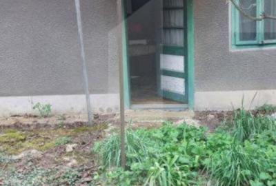 Blitz va ofera spre vanzare o casa cu teren generos in Cer - 8