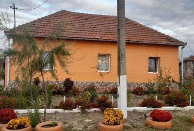 Casă cu 3 camere în Avram Iancu (Cermei) - 8