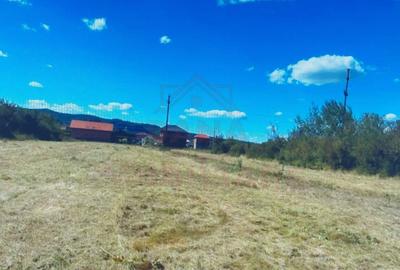 TEREN INTRAVILAN - STRADA AEROPORTULUI\ CARANSEBEȘ\JUD.CARAȘ-SEVERIN - 1