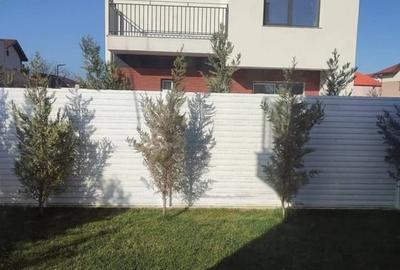 Vila Individuala 4 Camere Otopeni | Calitate | Zona Civilizata, Matura - 6