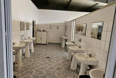 Spațiu comercial, de 30,000 mp, în Vălenii de Munte - 5