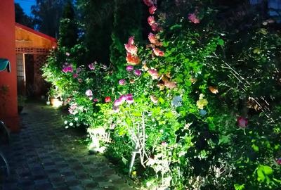 Vila de vanzare in Campina Prahova - 2