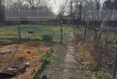 Casa de vanzare intr-o zona lini?tita, sus pe deal, cu priveli?te superba - 6