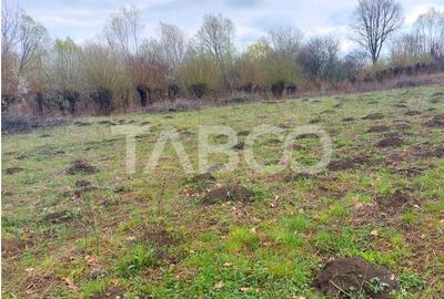 Teren Construcții intravilan de 550 mp, în Cisnădie - 4