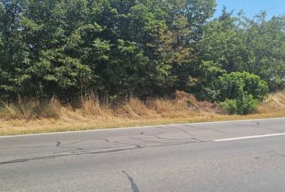 Teren de 5000 mp, în Exterior Vest - 3