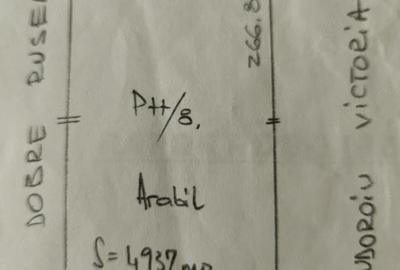 Teren de 4937 mp, în Satu Nou (Lipănești) - 2