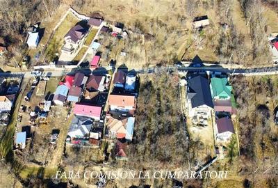 CALIMANESTI, TEREN 1231 MP - 8