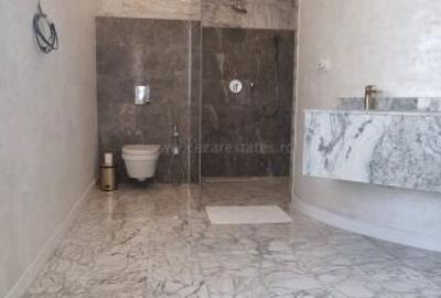 PIPERA IANCU NICOLAE VILA LUX RENOVATA COMPLET 2022 - 43