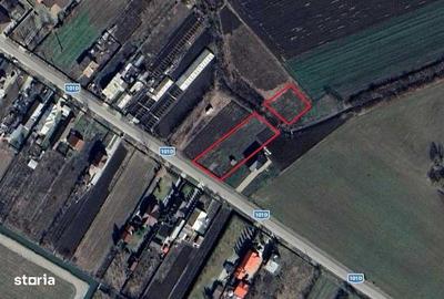 Teren de 2500 mp, în Râfov