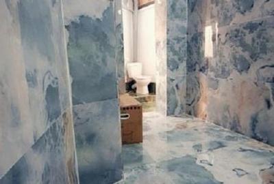 PROPRIETAR/CASA SINGUR CURTE/GARA DE NORD/PIATA VICTORIEI/COTROCENI/STIRBEI VODA - 5