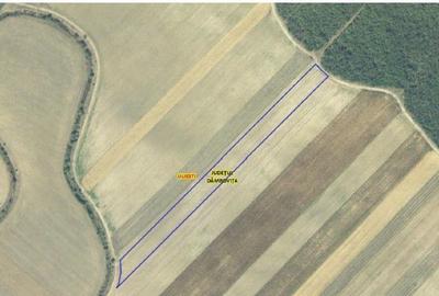 Teren extgravilan agricol Uliesti, ID: R2263433 - 2