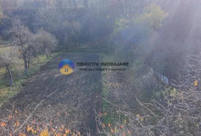 Casă cu 3 camere cu Teren 5062 Mp în Nord - 15