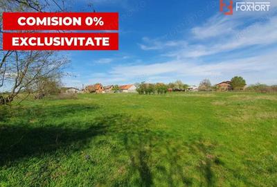 Comision 0% Teren intravilan 3000 mp in Padureni Jebel - 1