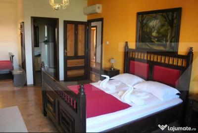 Casă cu 7 camere cu Teren 3000 Mp în Central - 6