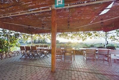 Casă individuală cu 6 camere cu Canalizare în Miniș - 26