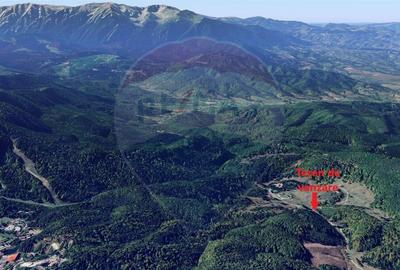 Teren de vis la poarta statiunii turistice Poiana Bra?ov... - 2