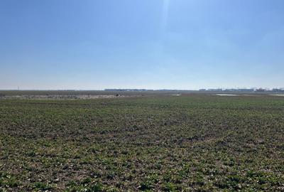 Teren Construcții intravilan de 5000 mp, în Exterior Est - 2