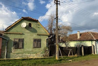 Casă cu 2 camere în Alțina - 3