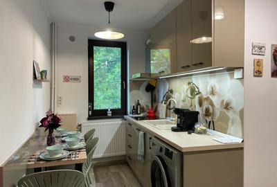 Apartament cu 2 camere semidecomandat, mobilat în City Park Mall - 13