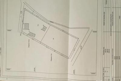 Casă cu 3 camere în Potelu - 1