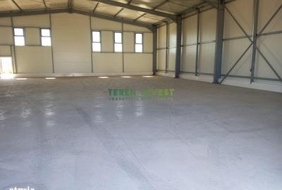 Spațiu comercial, de 550 mp, în Frumușani - 15