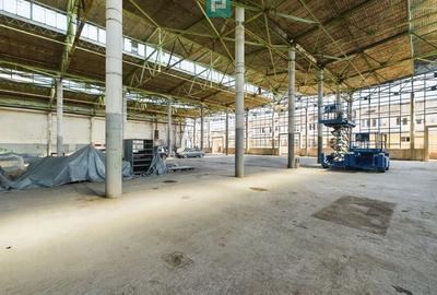 Spatiu depozitare zona Pantelimon Obor - 5