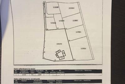 Spațiu comercial, în Sohodol - 6