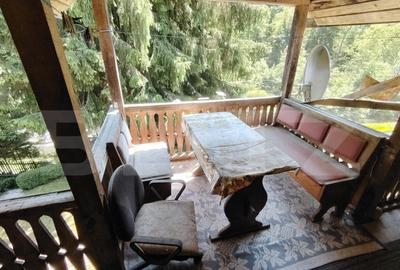 Cabana 5 camere Salard - 5