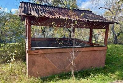 Casă individuală cu 2 camere cu Teren 1449 Mp în Ocna Șugatag - 14