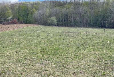 Teren de 5755 mp, în Central - 1